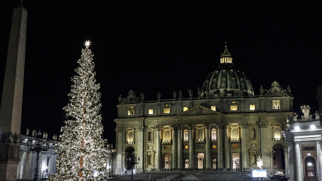 Accensione albero di Natale a San Pietro - RIPRODUZIONE RISERVATA