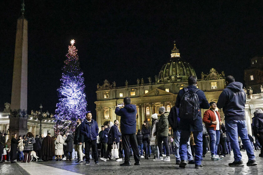 Accensione albero di Natale a San Pietro - RIPRODUZIONE RISERVATA