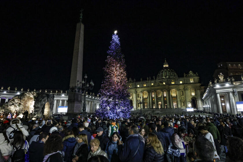 Accensione albero di Natale a San Pietro - RIPRODUZIONE RISERVATA