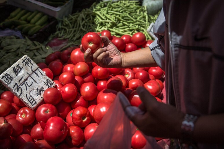 - RIPRODUZIONE RISERVATA