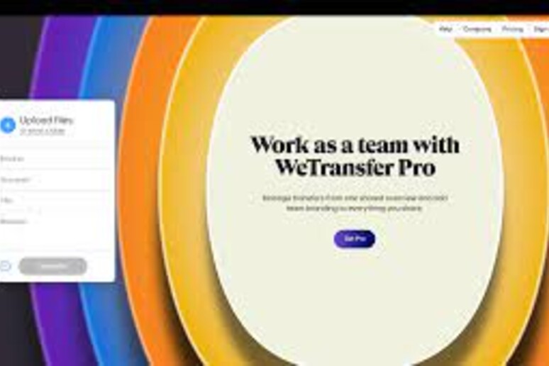 Logo WeTransfer (dal sito ufficiale) - RIPRODUZIONE RISERVATA